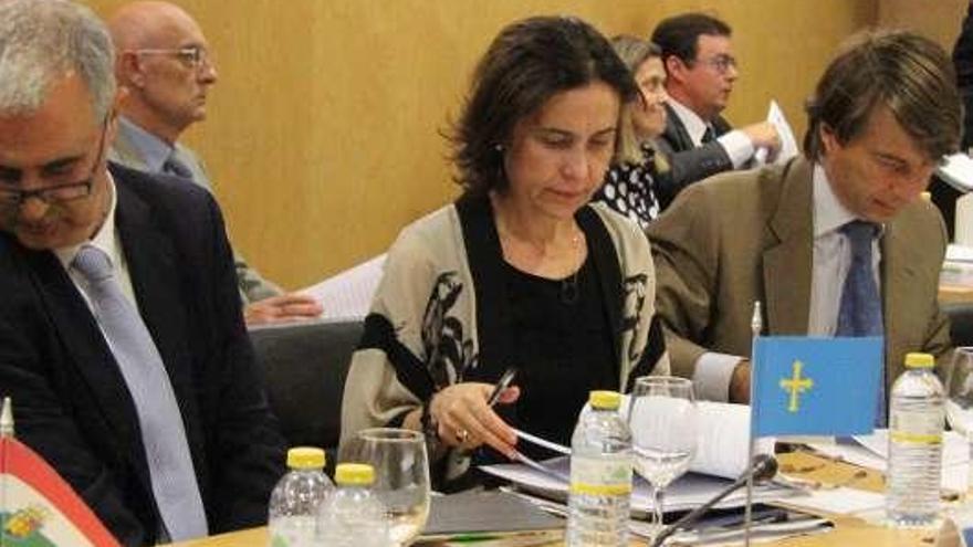 La consejera de Hacienda, Dolores Carcedo, en una reciente reunión del Consejo de Política Fiscal y Financiera.