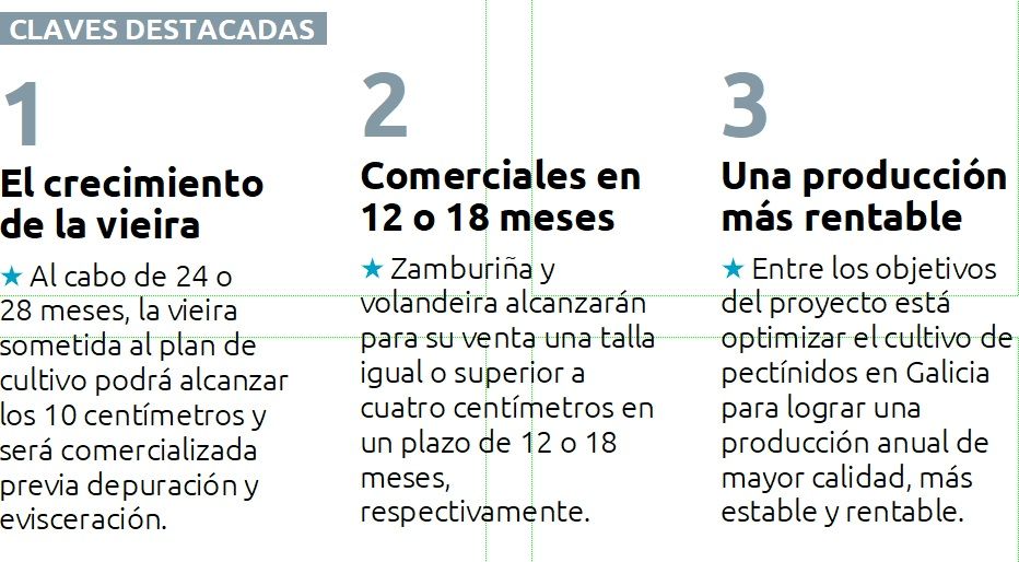 Algunas de las claves del proyecto.