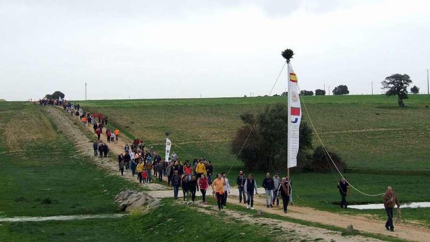 El pendón, portado por uno de los mayordomos, encabeza la procesión de Almeida hacia la ermita.