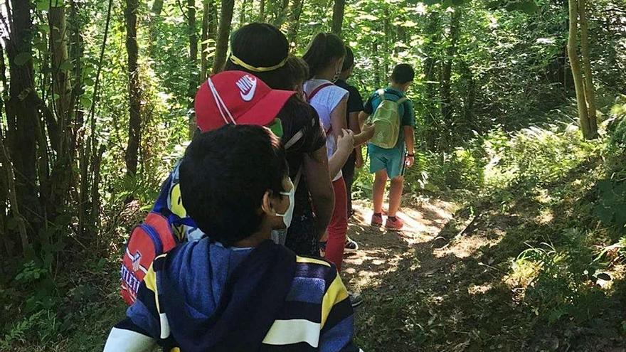 Excursión por la naturaleza.