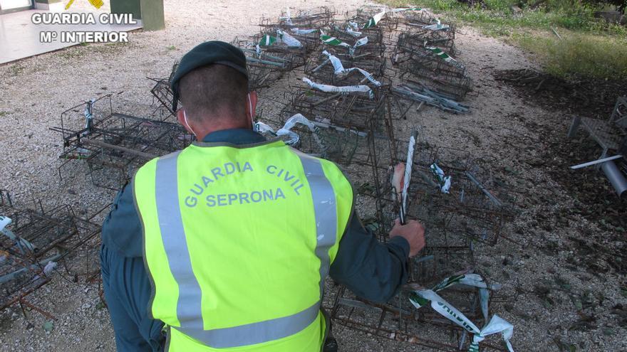 La Guardia Civil libera a seis tordos e incauta 118 jaulas-trampa a un  cazador ilegal en la Vall d'Albaida - Levante-EMV