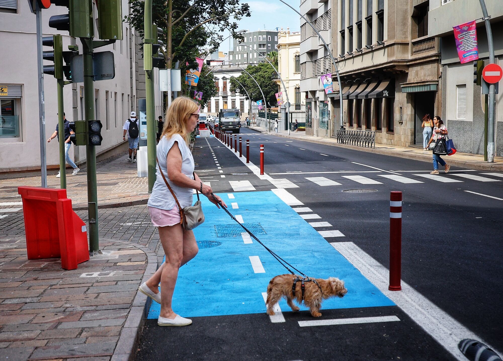 Pivotes en el carril bici de Santa Cruz de Tenerife para evitar que los coches aparquen