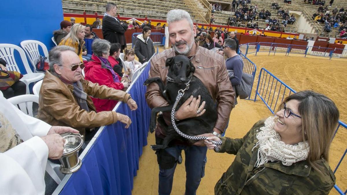 Un perro, a punto de ser bendecido en el Porrate de San Antón, en 2019.