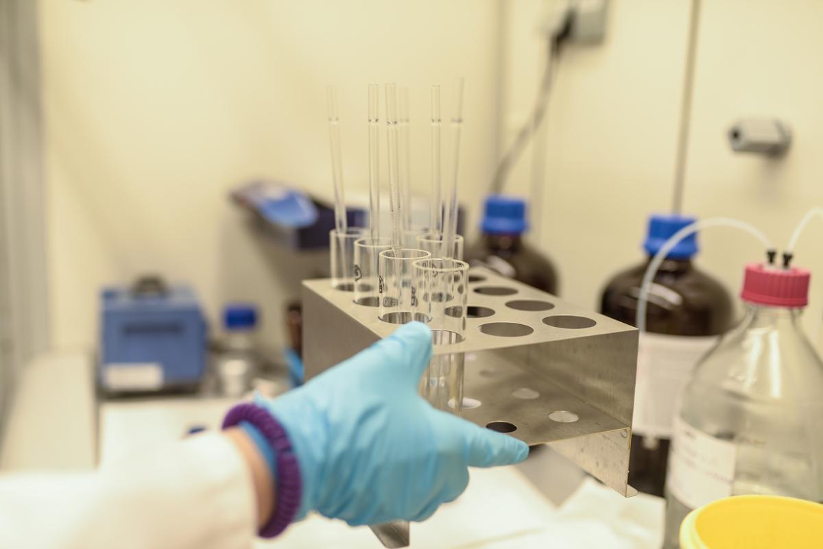 Un estudio establece una relación entre cáncer de colon y anisakis