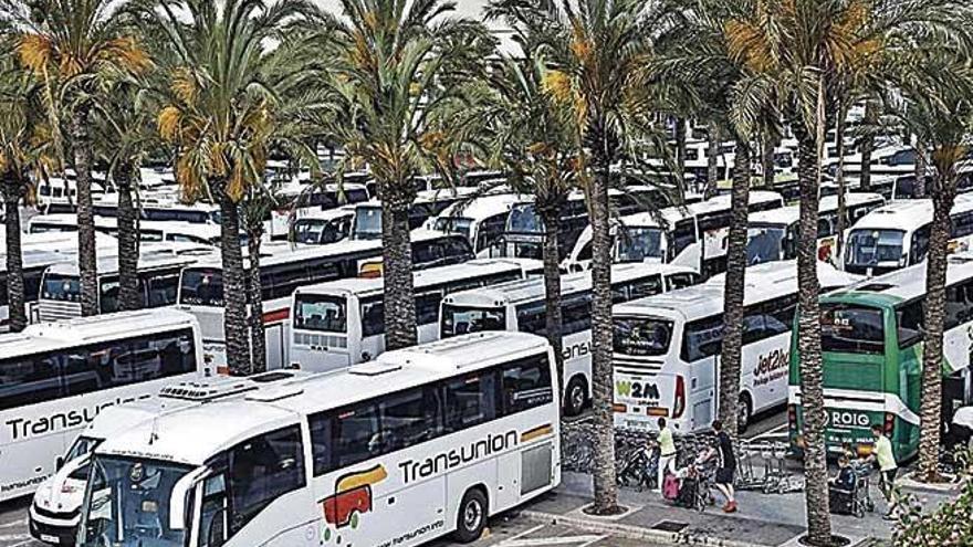 Autocares mallorquines transportarán a la afición a la final de la Copa del Rey de Sevilla