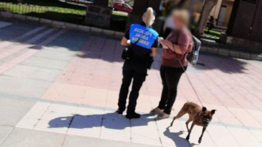 Un herido tras morder un perro a dos personas en una plaza de Guanarteme