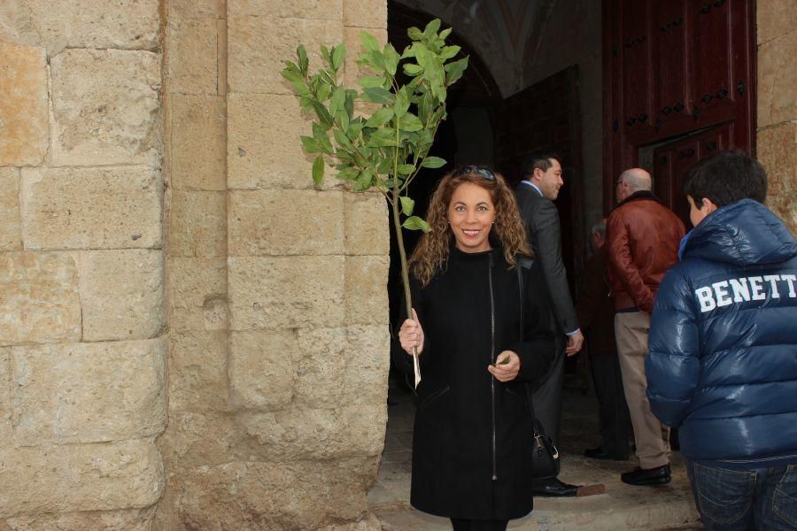 Procesión de Santa María en Fuentesaúco