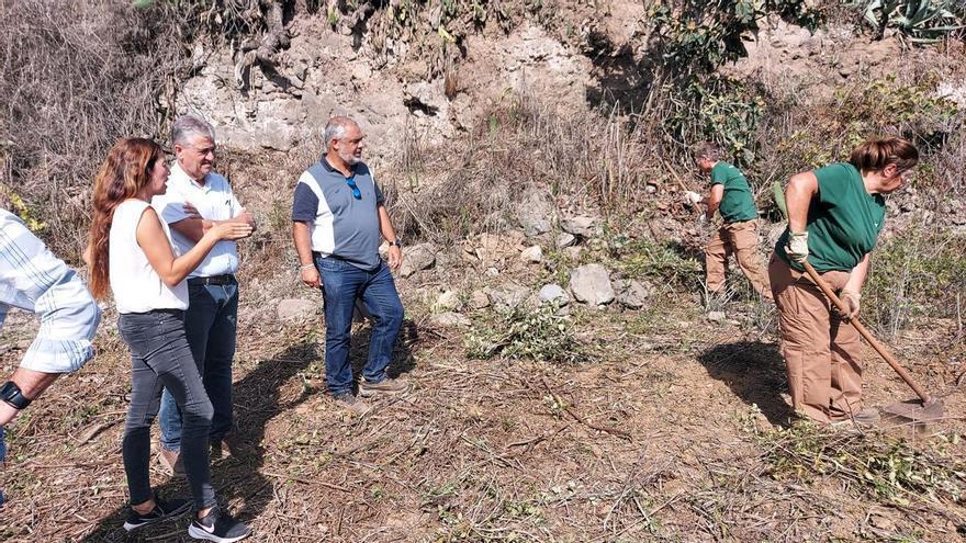 El Cabildo destina 477.000 euros para formar a 16 desempleados en trabajos forestales y agrarios