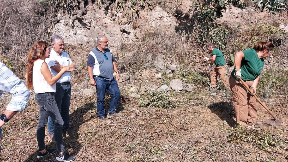 El consejero de Empleo y Desarrollo Local, Juan Díaz, en otro plan de empleo junto a componentes de Foresta.