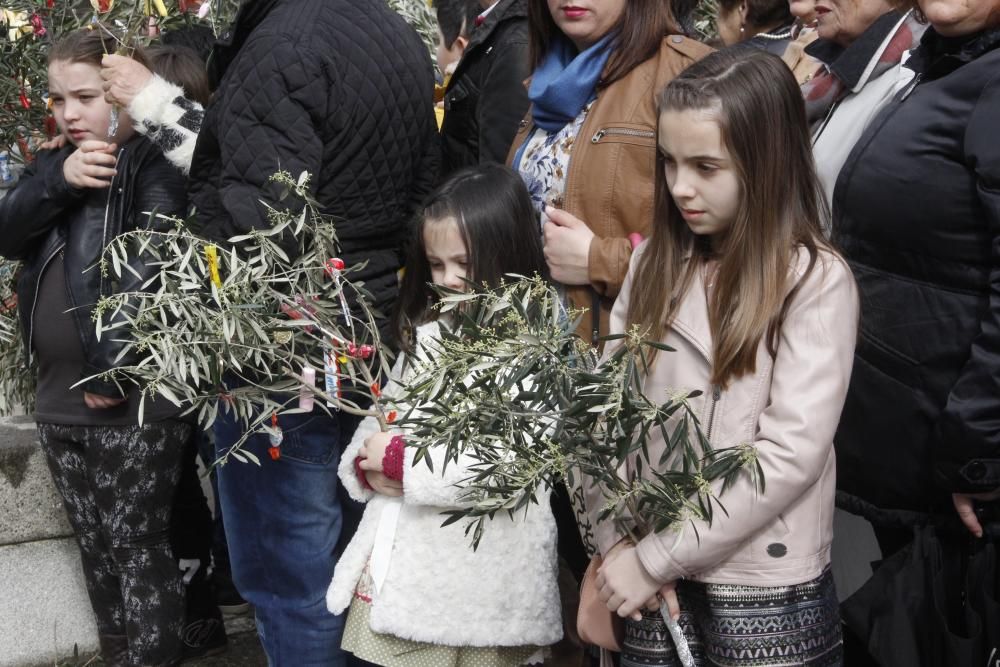 Semana Santa en Morrazo 2016 | Palmas alzadas para la bendición en Cangas