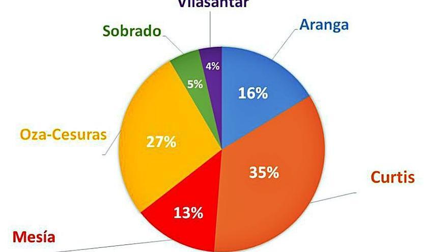 Las velutinas motivaron más de un tercio de las salidas del GES de Curtis durante el pasado año