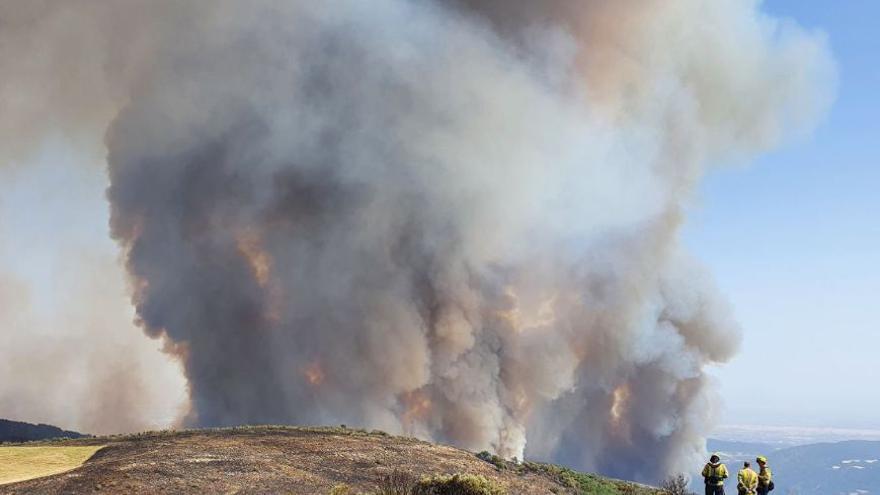 Els Bombers treballen en una trentena d&#039;incendis de vegetació gairebé simultanis