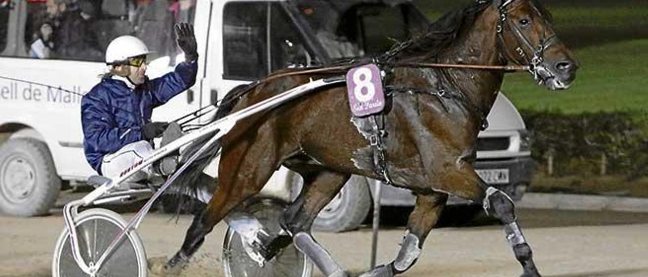 Enemic, con Mateu Bosch, reaparecerá el domingo en competición en la quinta carrera.