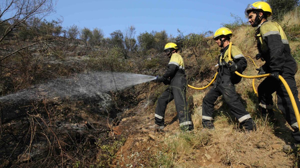 Bomberos en acción en Collserola, este 1 de julio del 2015.