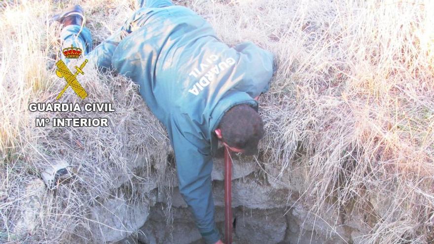 Rescatada en Fermoselle una jabalina que llevaba dos días dentro de un pozo