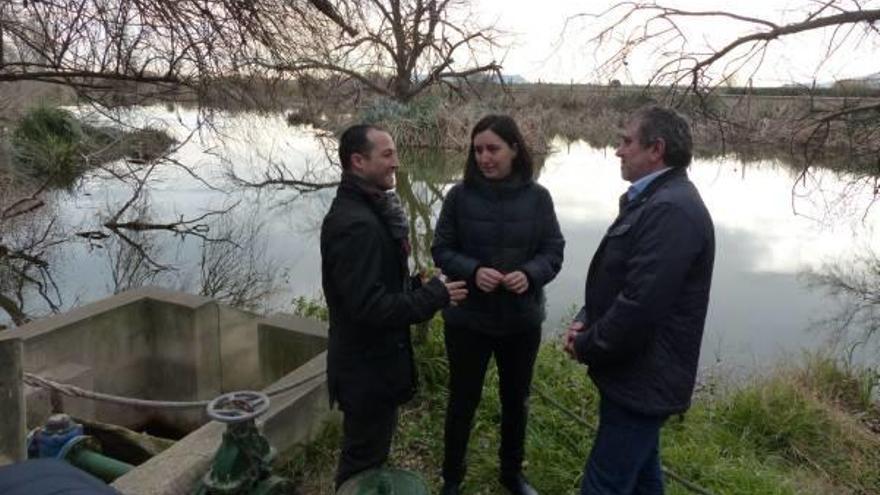 Algemesí planta frángulas en la Llacuna del Samaruc