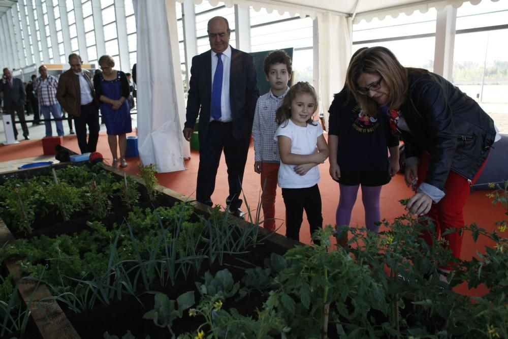 Feria Ecocultura 2017