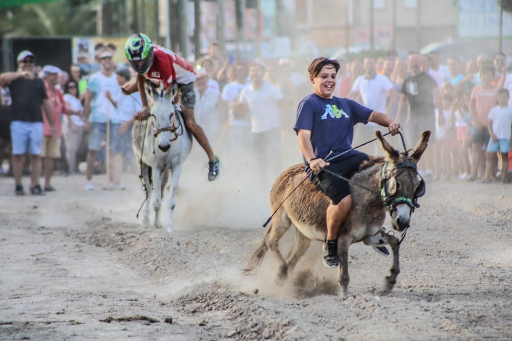 Carrera de burros y asnos y exhibición canina en D