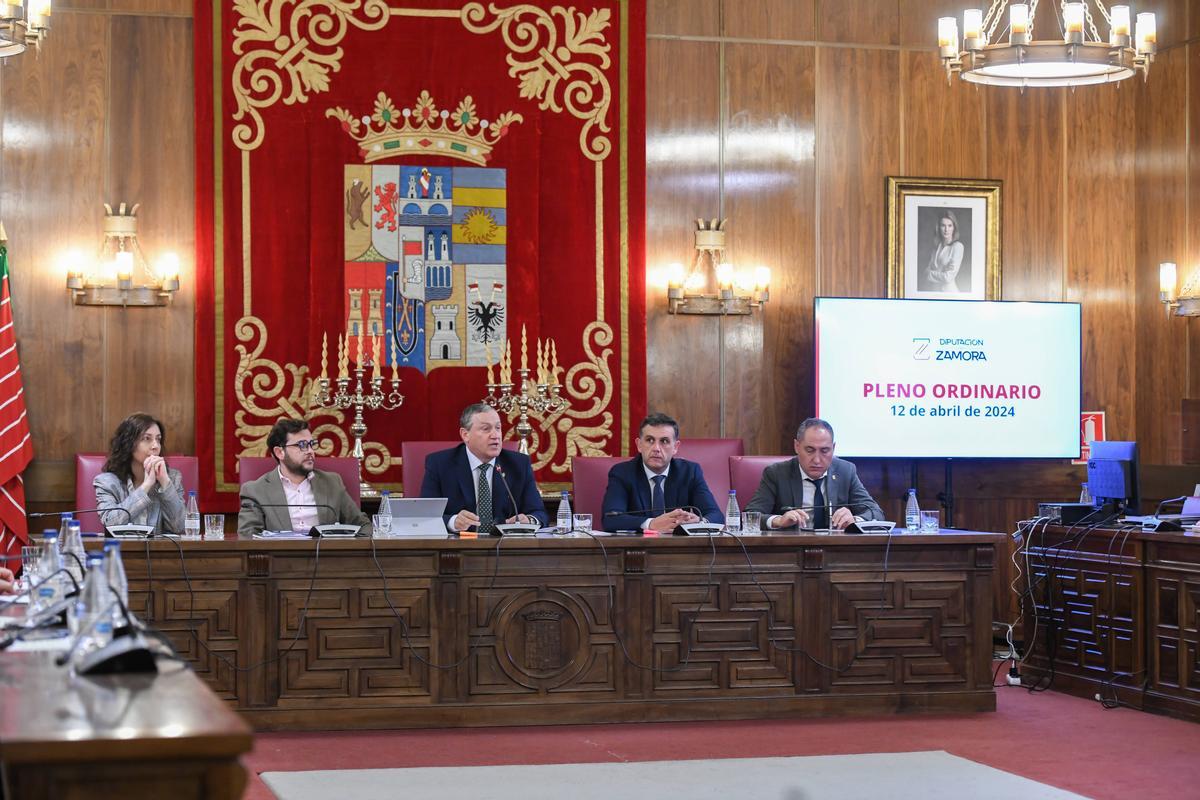 Pleno de la Diputación Provincial de Zamora.