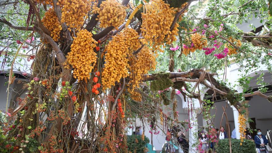 Estos son los cinco patios institucionales que acogerán instalaciones artísticas de Flora 2022