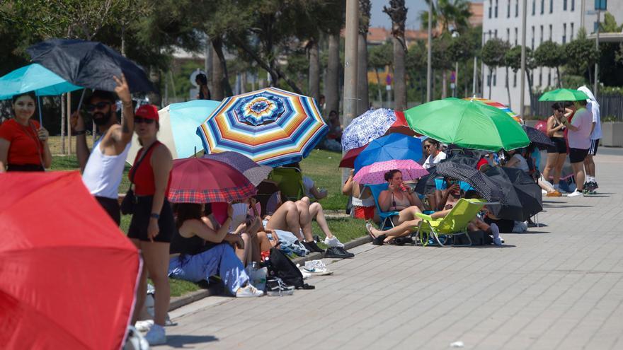 Pasión por Rosalía | La gira &#039;Motomami&#039; aterriza en València: ¡Busca tu foto!