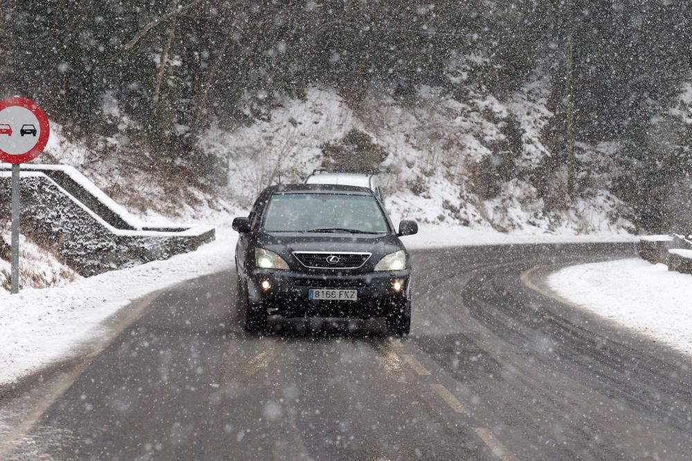 Neu a la Cerdanya i el Ripollès