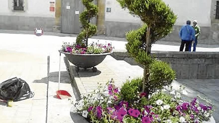 El Ayuntamiento de Coria tacha de vandalismo el robo de setos