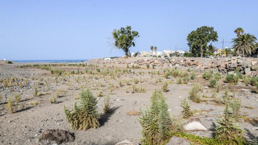 Yacimiento en El Pajar, Mogán