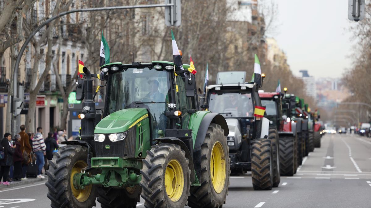 Tractores llegando a la puerta del Ministerio de Agricultura en Madrid a la espera de la reunión con Planas la pasada semana.