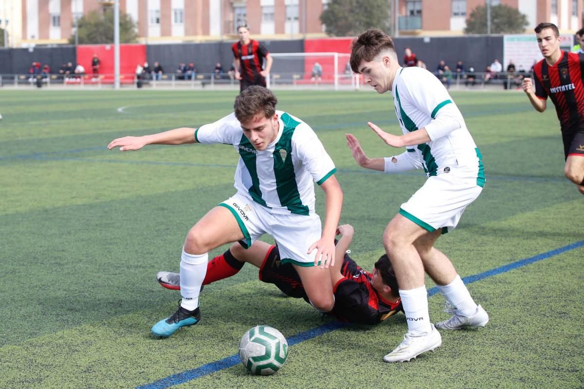 Séneca-Córdoba. Derbi de la División de Honor Juvenil.