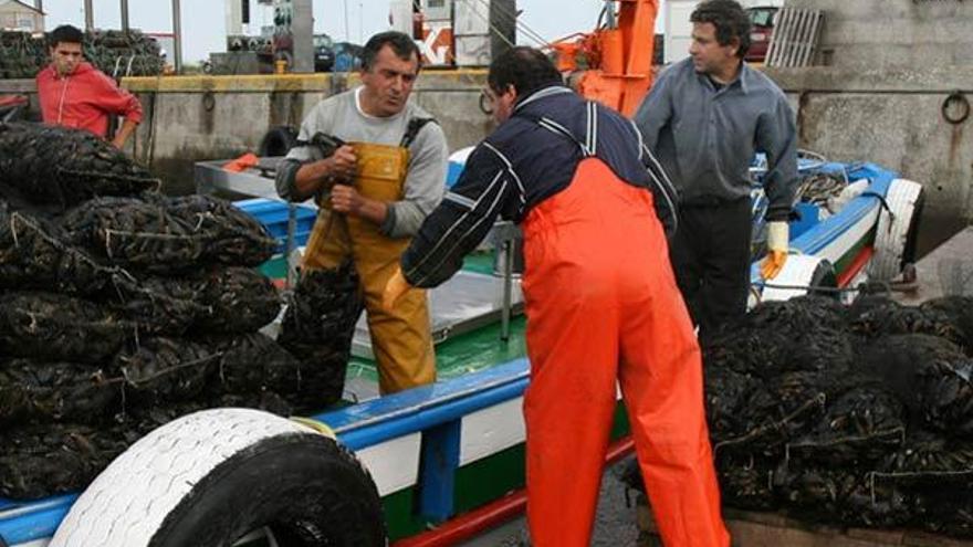 Descarga de mejillón en Porto Meloxo.  // Muñiz