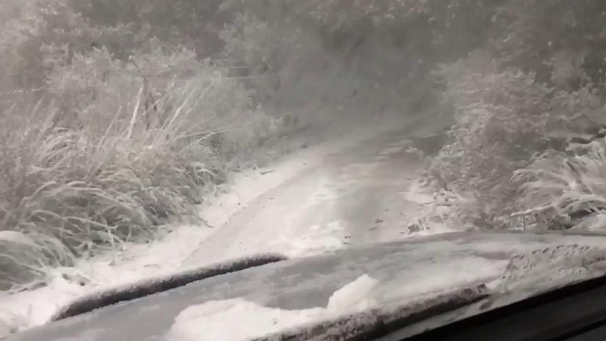 Fahrt durch den Winterwald: Schneefall am Puig de Galatzó