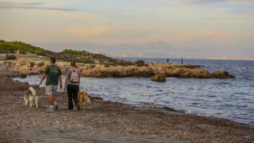 La tercera Cala del Cuartel, ubicada bajo el faro de Santa Pola, se convertirá en una playa para perros a partir del mes que viene.