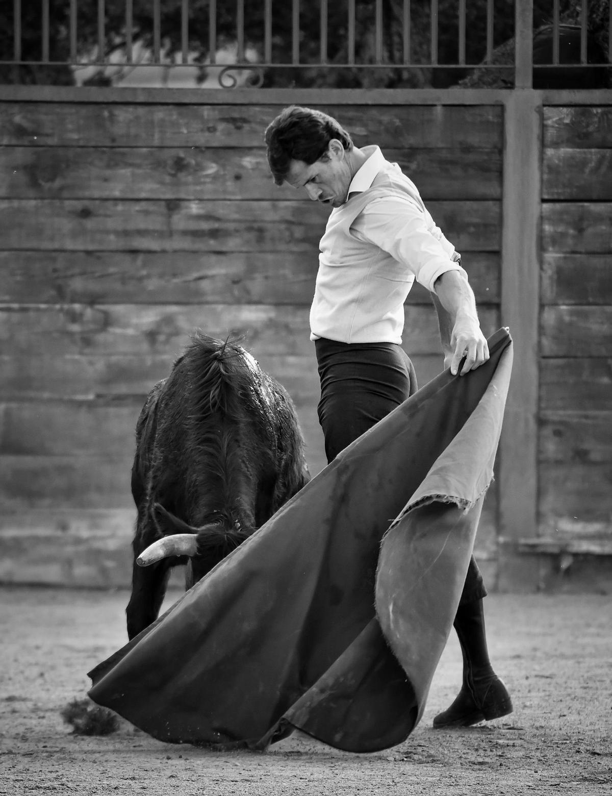 Luque, frente a una becerra durante un tentadero.