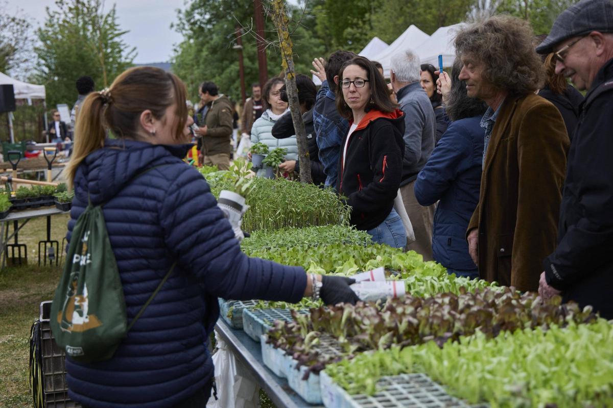 Una gentada s’ha acostat per visitar els 34 expositors presents, per participar en algun dels tallers programats o passejar per l’espai natural de la Fira de la Flor i el Planter. Una gentada s’ha acostat per visitar els 34 expositors presents, per participar en algun dels tallers programats o passejar per l’espai natural de la Fira de la Flor i el Planter.