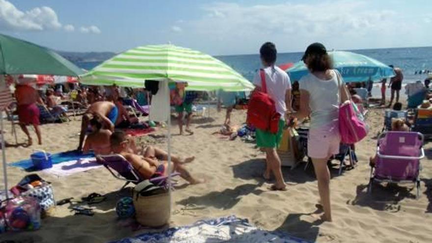 El pleno de Calp da luz verde a la creación de una playa para perros en Les Urques