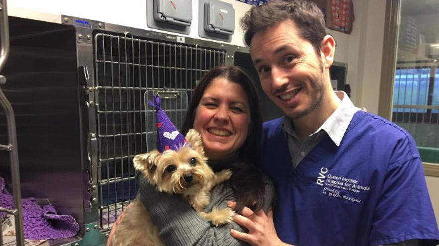 Ana Lara junto a uno de sus residentes en el Queen Mother Hospital for Animals.