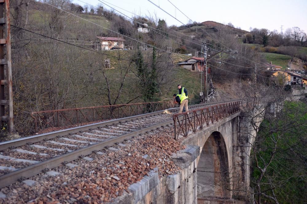 Descarrila un tren de mercancías en Lena