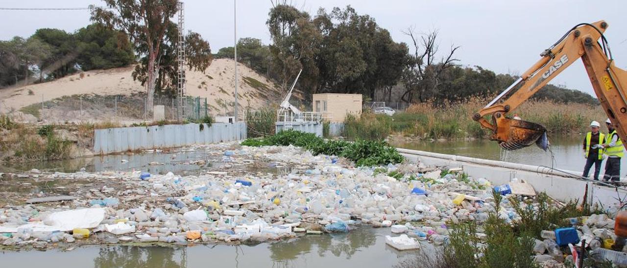 Retirada de residuos plásticos flotantes del río en Guardamar del Segura el pasado mes de marzo.