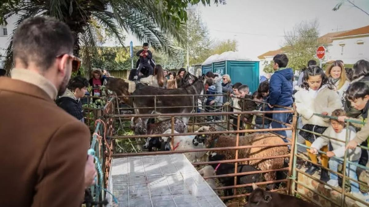 Belén viviente de la Argentina, en la edición del pasado año.