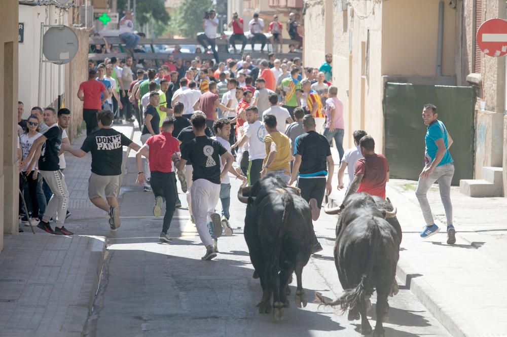 Festes de Sant Pasqual de Vila-real