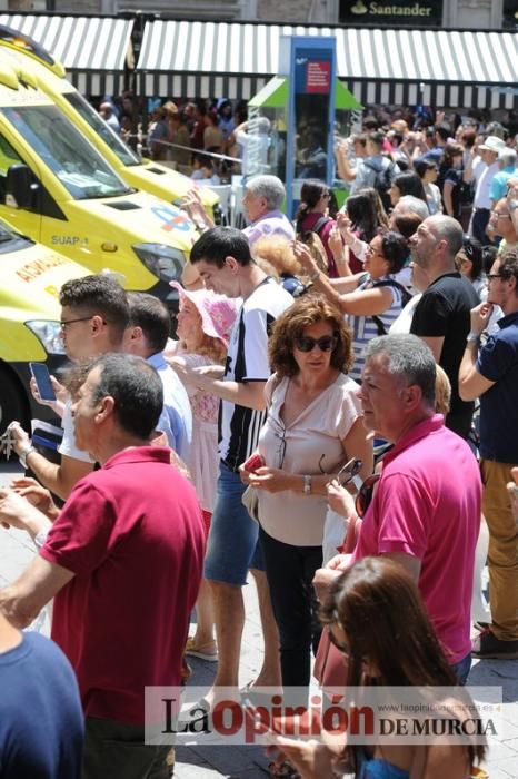 Cae parte del ficus de Santo Domingo en Murcia