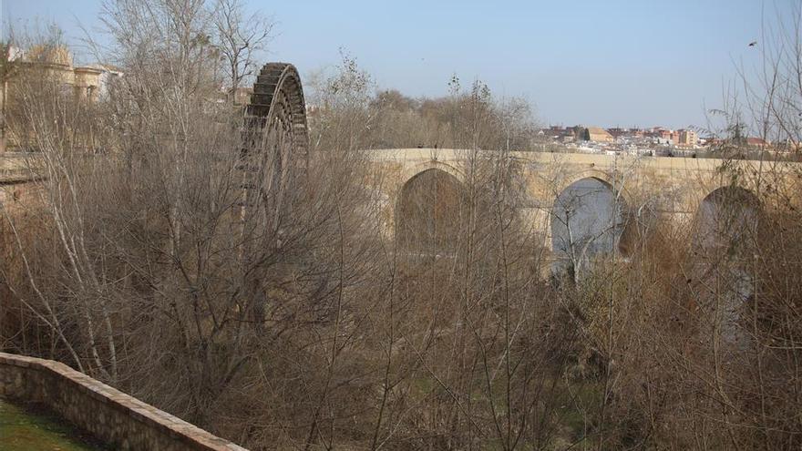 El Defensor del Pueblo aclara que la limpieza del río en Córdoba corresponde al Ayuntamiento