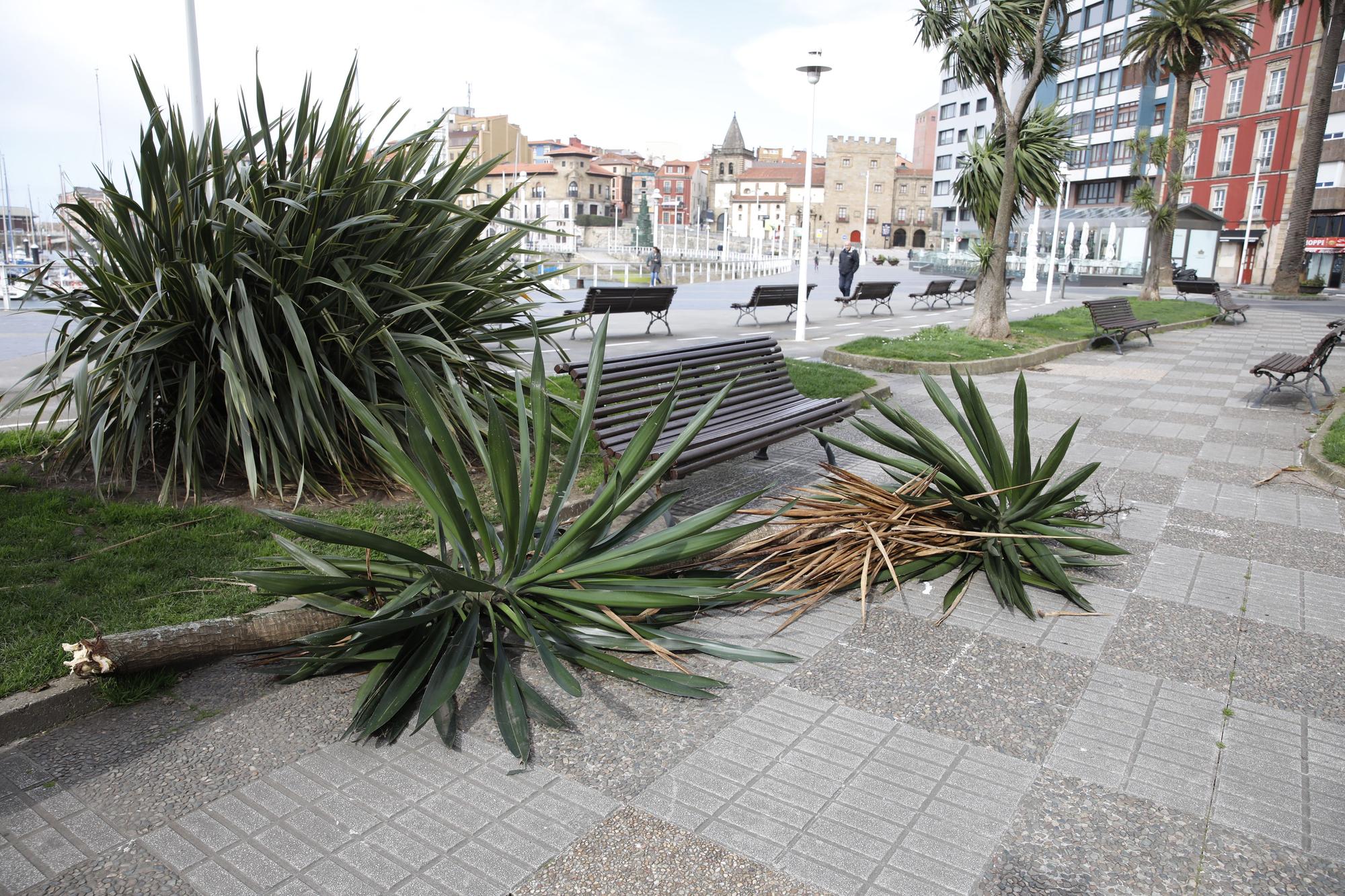 Viento en Gijón