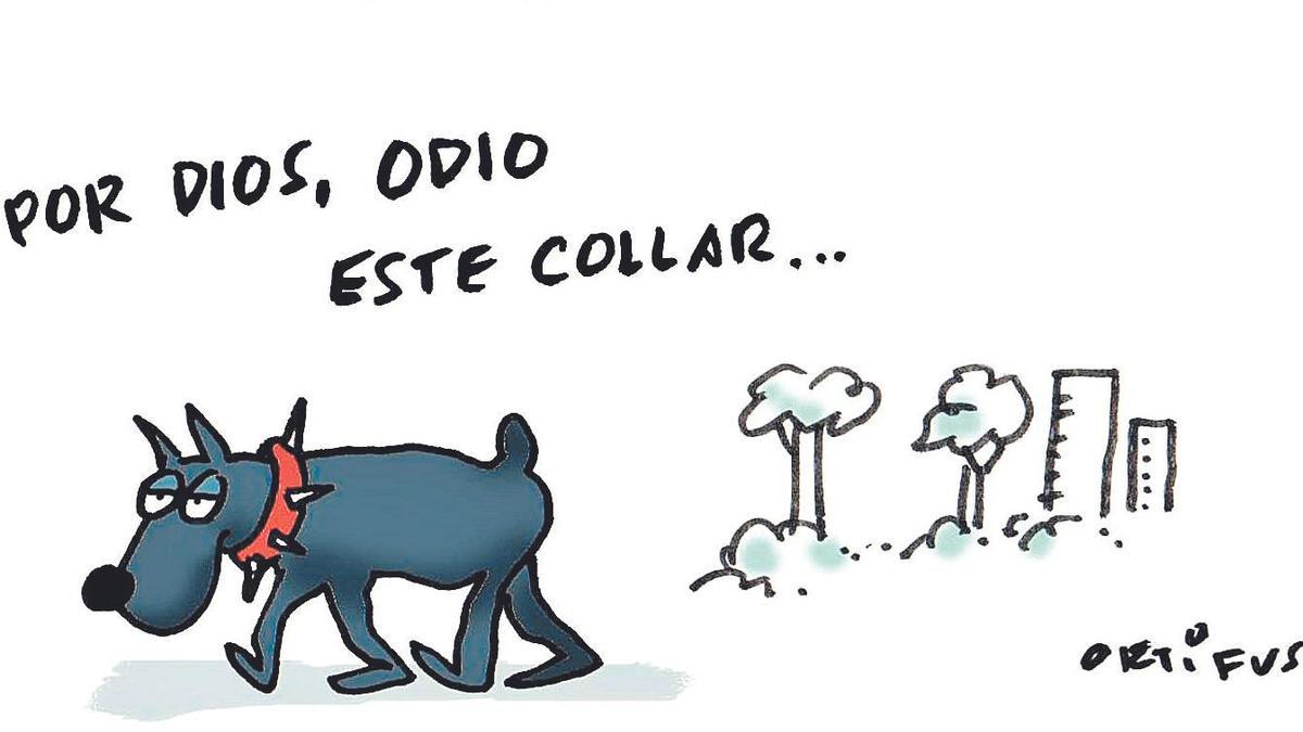 Los perros peligrosos se catalogarán por su conducta y no por su raza