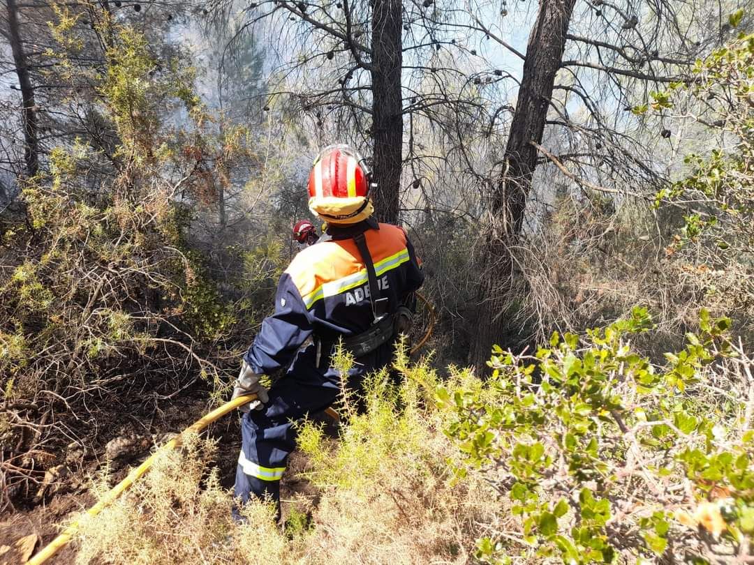 Un rayo latente causa un incendio en una zona forestal de Moixent