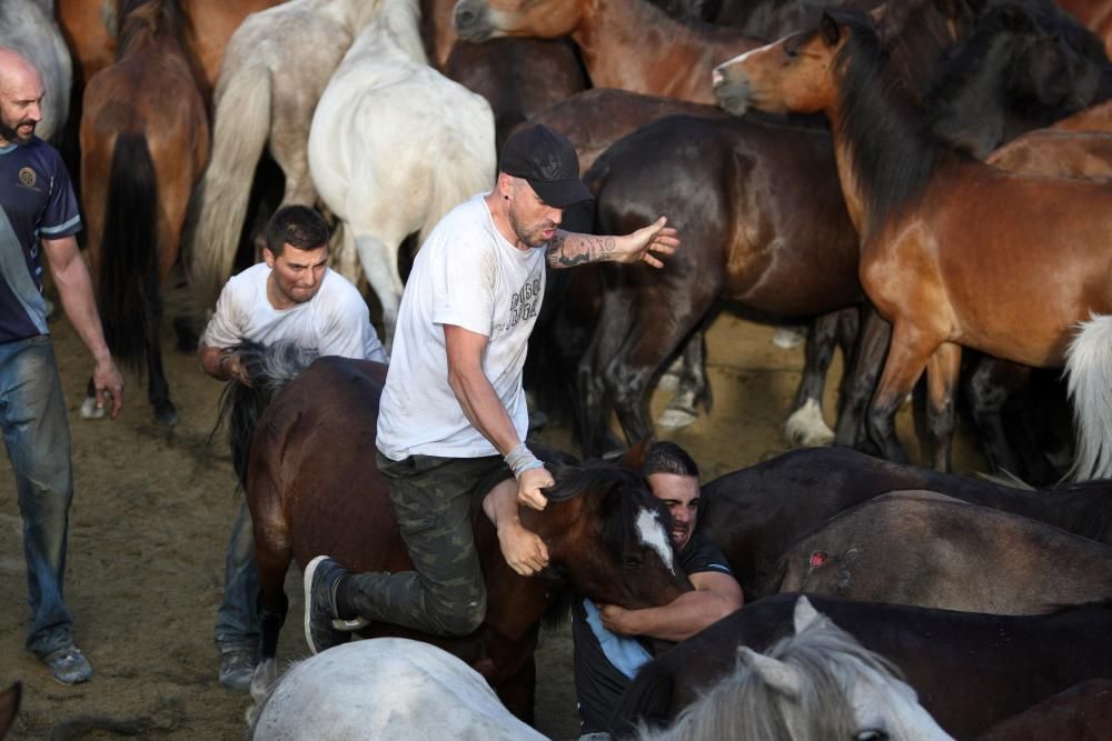 Sabucedo exhibe bravura en su Rapa das Bestas