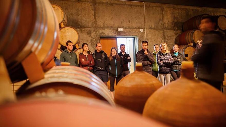 Visitants en un celler amb àmfores