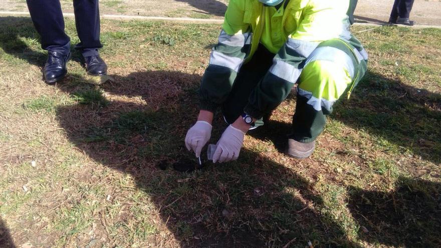 Alboraia inicia los análisis de ADN canino y mejora la ordenanza para incluir sugerencias vecinales