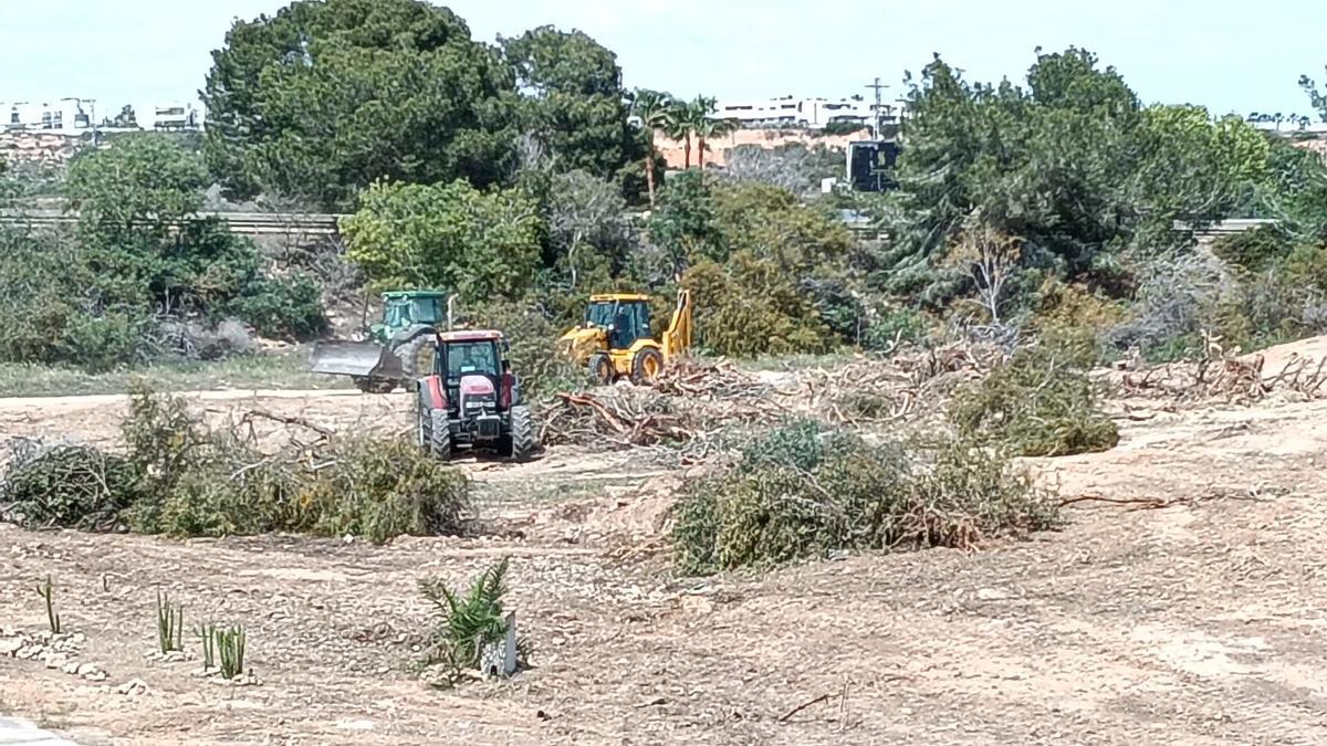 Trabajos de maquinaria pesada en la parcela parcialmente inundable en la que se quieren construir 64 viviendas pero que carece de aprobación en Orihuela Costa